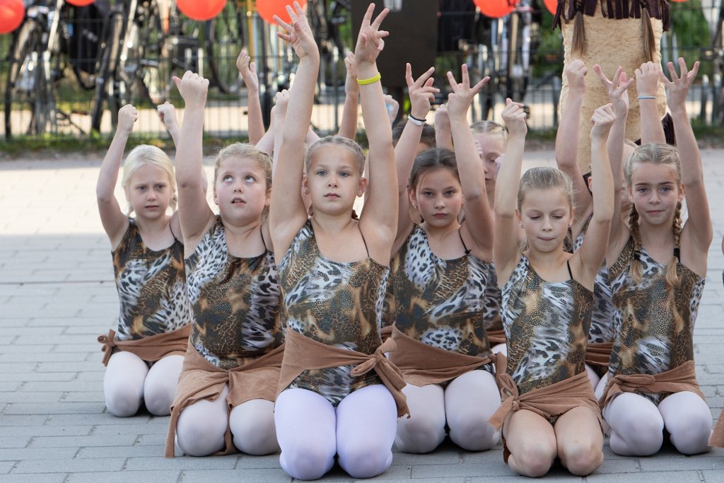 Schoolplein Festival A134.jpg